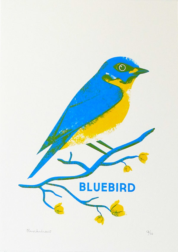 Chris-Andrews-Blue-Bird