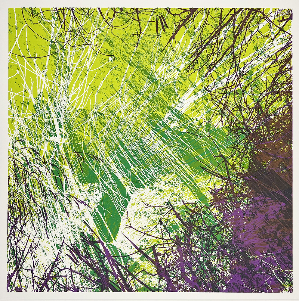 Chris Keegan Green Purple Tree IMG_1499.HEICscreen print 02