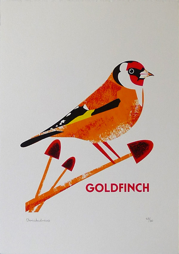 Chris-Andrews-Goldfinch
