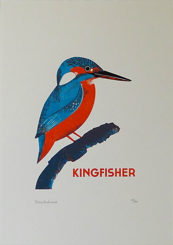 Chris-Andrews-Kingfisher