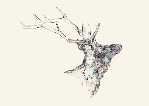 Susie Wright - Mineral Stag MMXIV