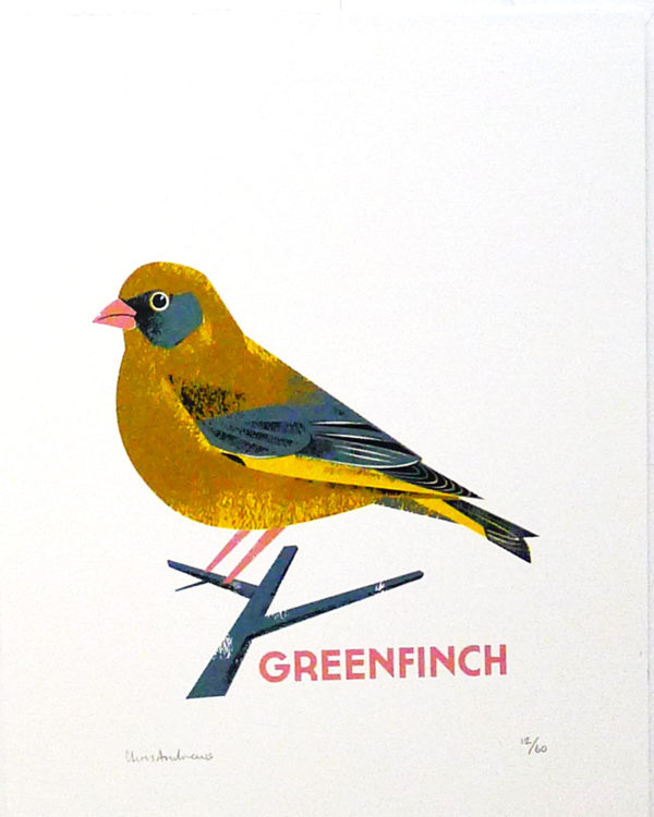 Chris-Andrews-Greenfinch