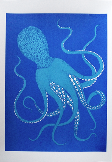 Octopus | Print Club London