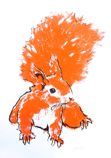 Tiff-Howick-Orange-Squirrel