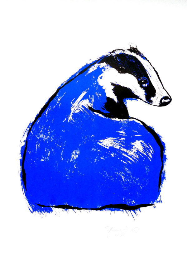 Tiff-Howick-Blue-Badger