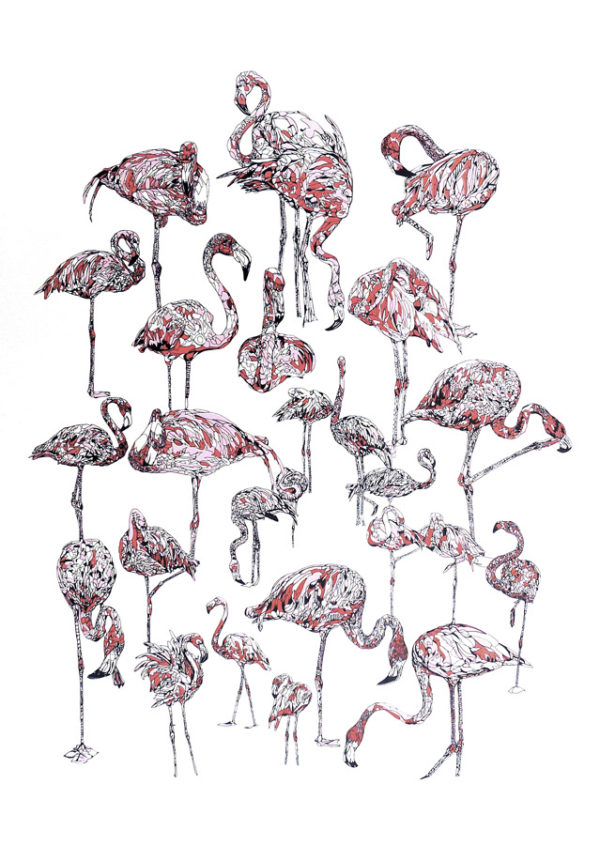 Susie-Wright-Flamingos