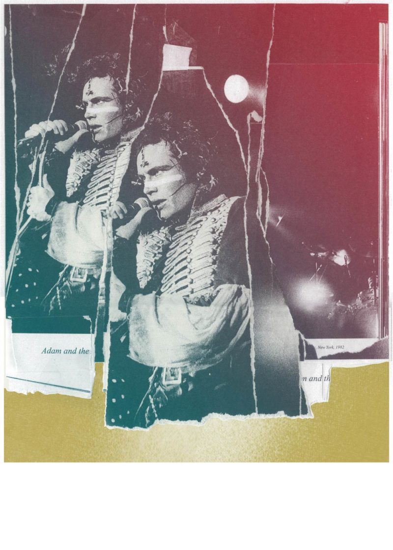 Kate Gibb – Prince Charming