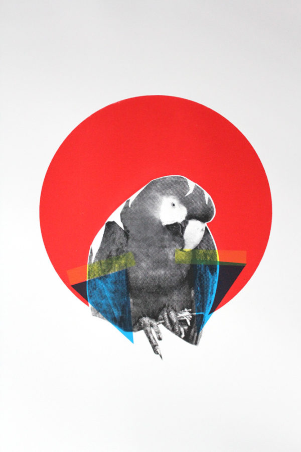Victoria Langdon - Scarlet Macaw