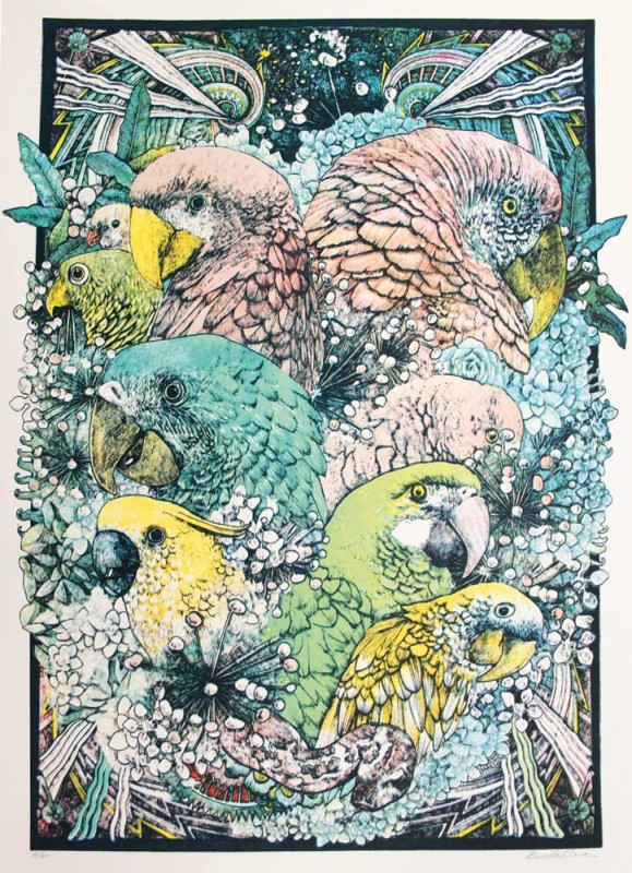 Lucille Clerc – Jungle Book Parrots Colour Edition