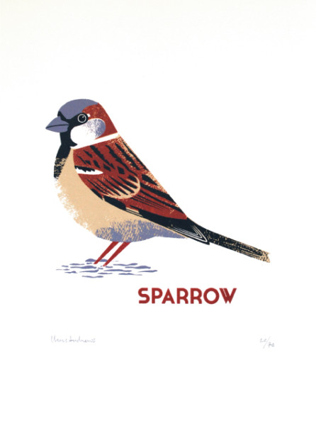 Chris-Andrews-Sparrow