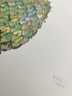 Andrew mcgregor Nanus Green pinapple Screenprint 03
