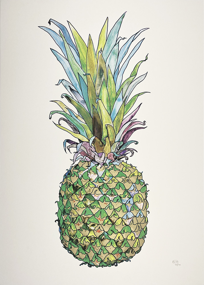 A detailed illustration of the Nanus Green pineapple, featuring its distinctive green and blue-green leaves, set against a plain white background.