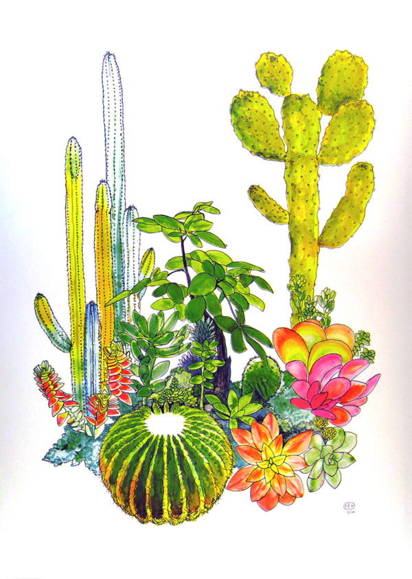 Presenting "Cacti," a masterpiece of illustration that brings to life an ensemble of diverse and colorful cacti and succulents. This artistic creation captures the allure of both towering and rounded plant forms, rendered in a vivid palette of greens, pinks, and oranges. Each hue pops with vibrancy against a pristine white backdrop, creating a striking contrast that accentuates the beauty and uniqueness of these desert wonders.