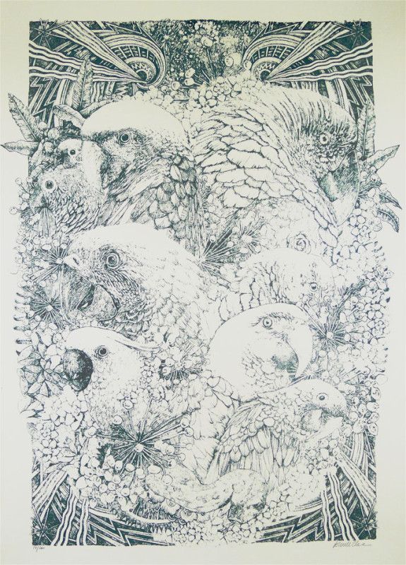 Lucille Clerc-Parrots Grey