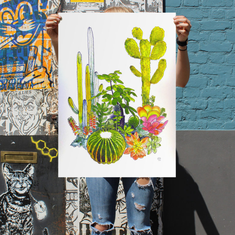 Andy-Mc-Gregor_Cacti_Close-Up-01