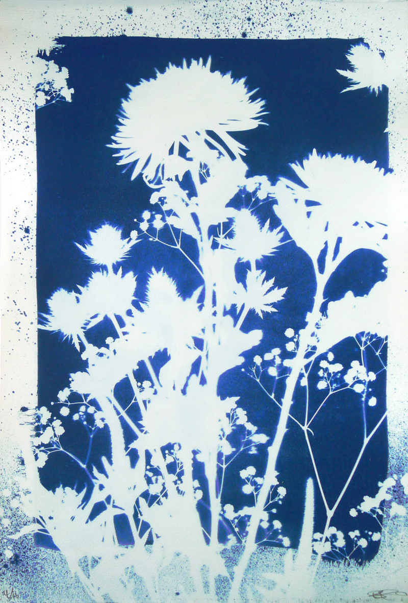 Ben Rider – Seasonal Study