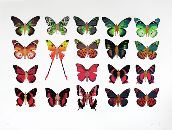 MOL-Butterfly-Army