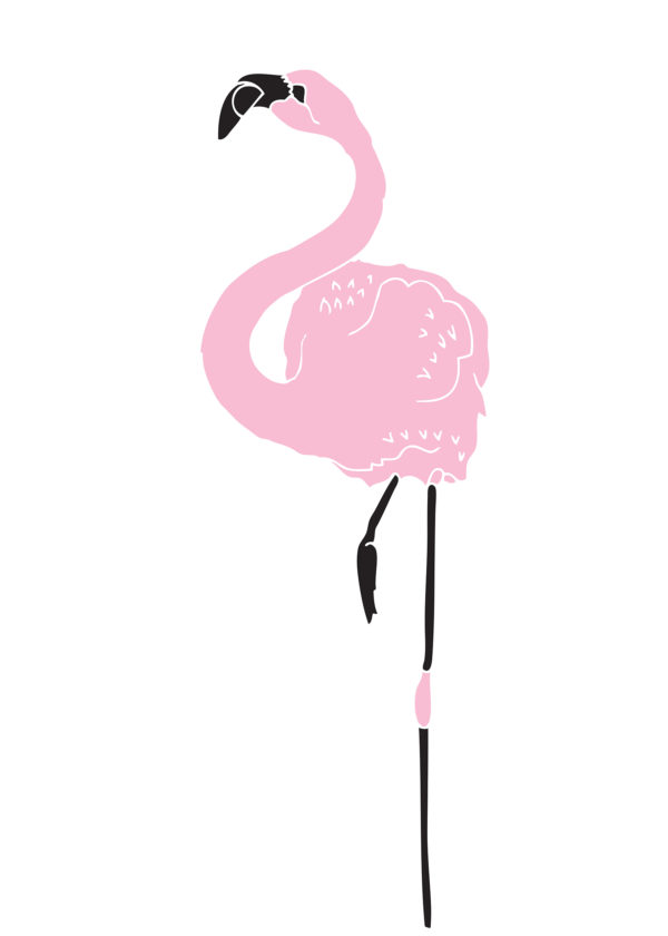 Susie-Wright-Flamingo
