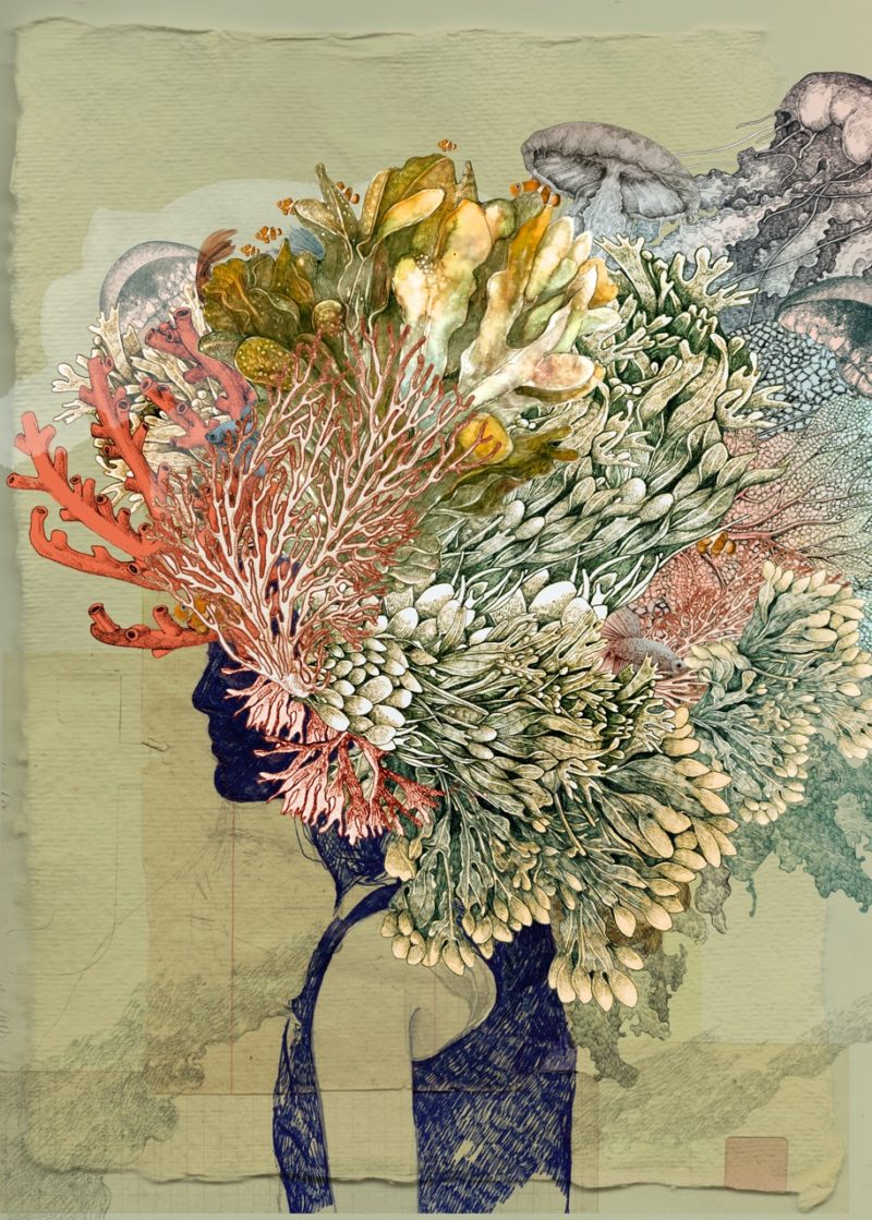 Lucille Clerc – Kodama Algae