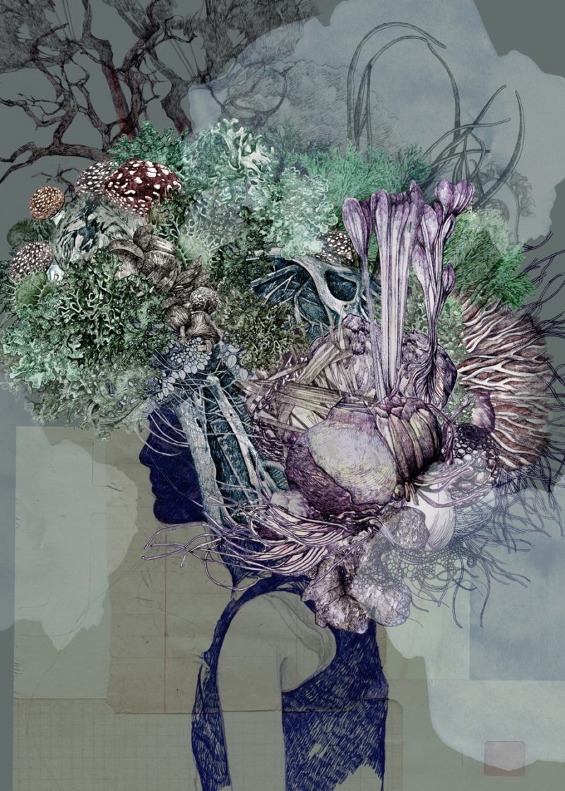 Lucille Clerc – Kodama Mangrove