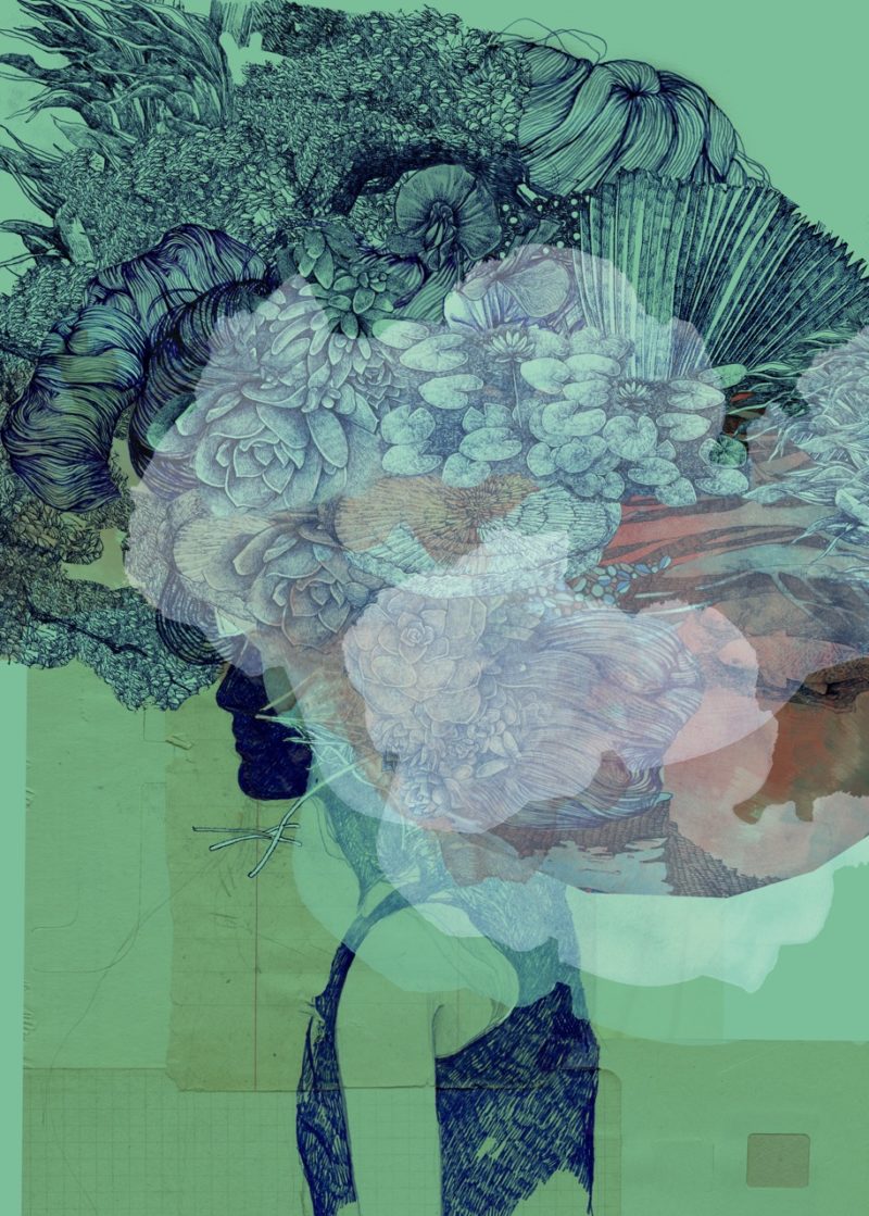 Lucille Clerc – Kodama Rainforest