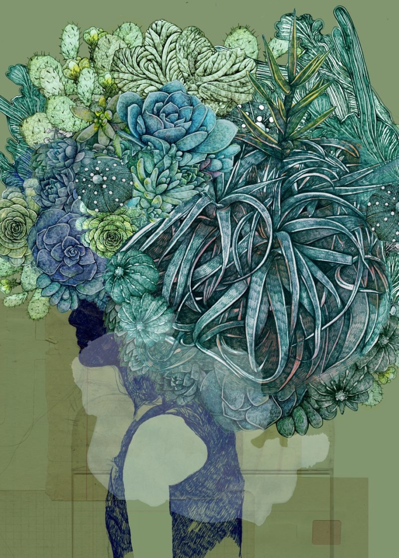 Lucille Clerc – Kodama Succulent