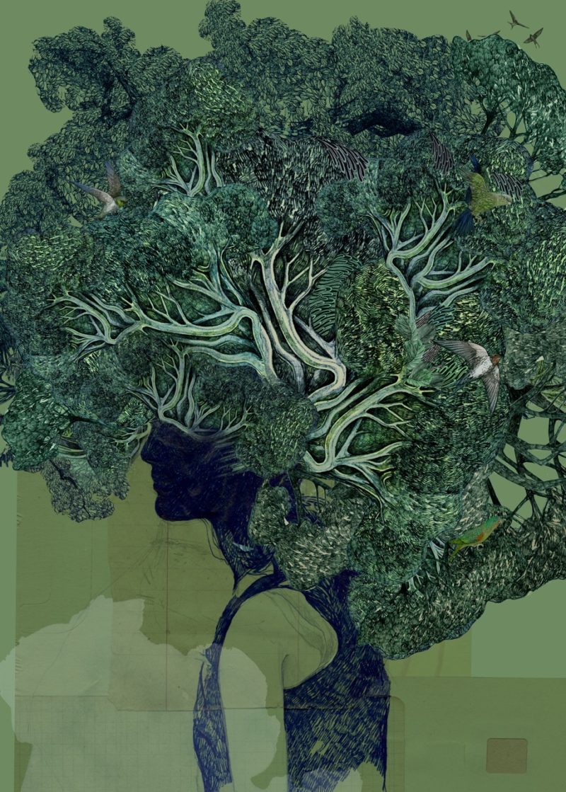 Lucille Clerc – Kodama Woods