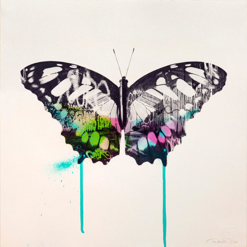 Donk – Graffiti Butterfly