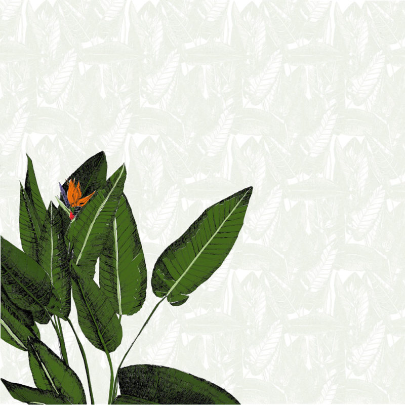 Birds of Paradise Study Print Club London Screen Print