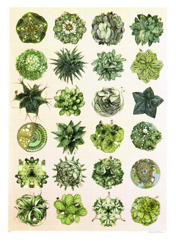 Kodam Seeds – Lucille clerc Print Club London Screen Print