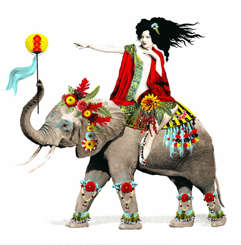 Colonial Beauty Elephant Johnathan Reiner Print Club London Screen Print