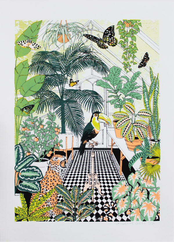 Explorers Greenhouse Jacqueline Colley Print Club London