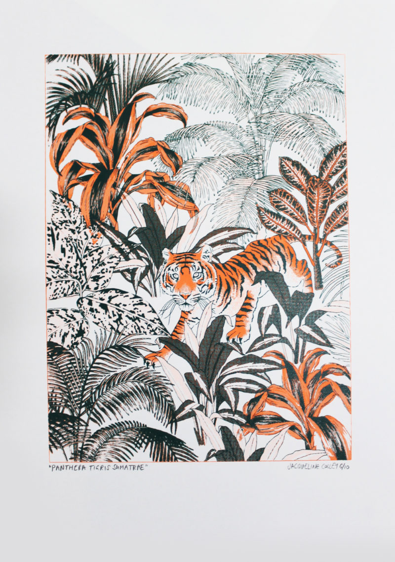 Sumatran Tiger Jacqueline Colley Print Club London