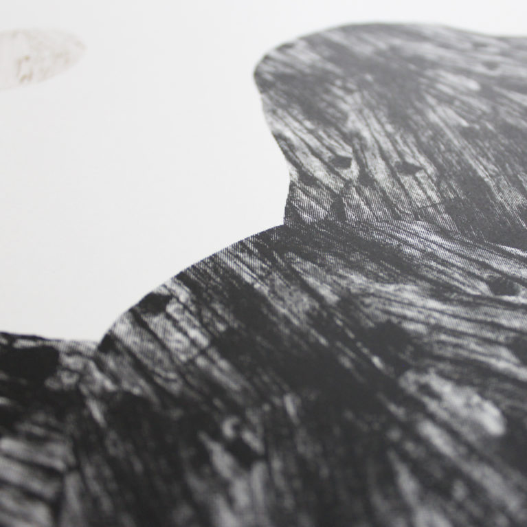 Deliverance Thomas Whitcombe Print Club London Screen Print