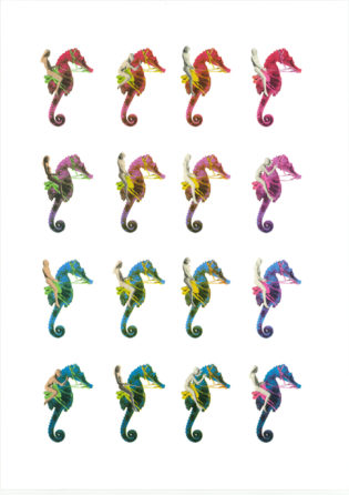 Seahorses MOL Print Club London Screen Print