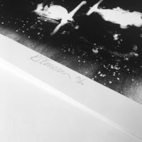 A Night at the Circus Rosie Emerson Print Club London Screen Print