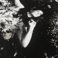 A Night at the Circus Rosie Emerson Print Club London Screen Print