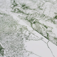 Greenhouse Cacti Clare Halifax Print Club London Screen Print