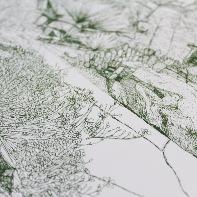 Greenhouse Cacti Clare Halifax Print Club London Screen Print