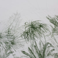 Greenhouse Cacti Clare Halifax Print Club London Screen Print