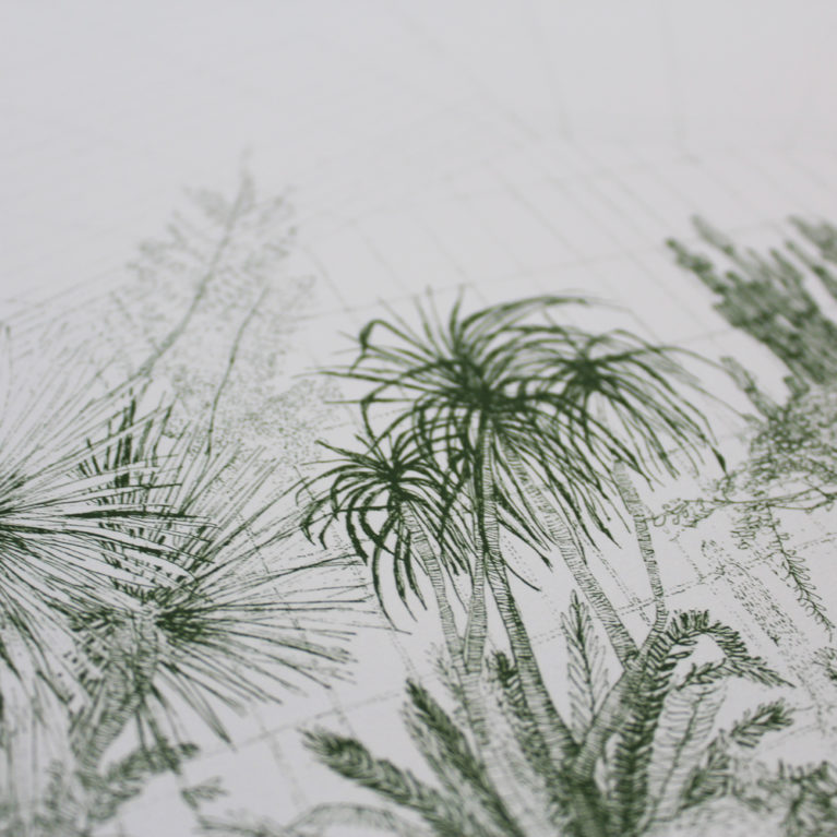 Greenhouse Cacti Clare Halifax Print Club London Screen Print