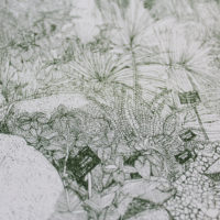 Greenhouse Cacti Clare Halifax Print Club London Screen Print