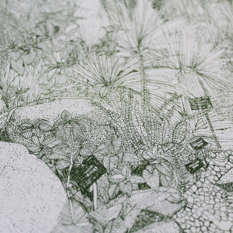 Greenhouse Cacti Clare Halifax Print Club London Screen Print