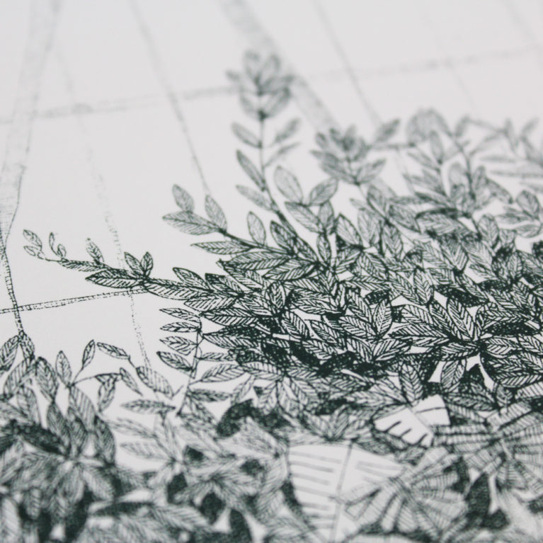 Greenhouse Waterlilly Clare Halifax Print Club London Screen Print