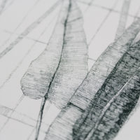 Greenhouse Waterlilly Clare Halifax Print Club London Screen Print