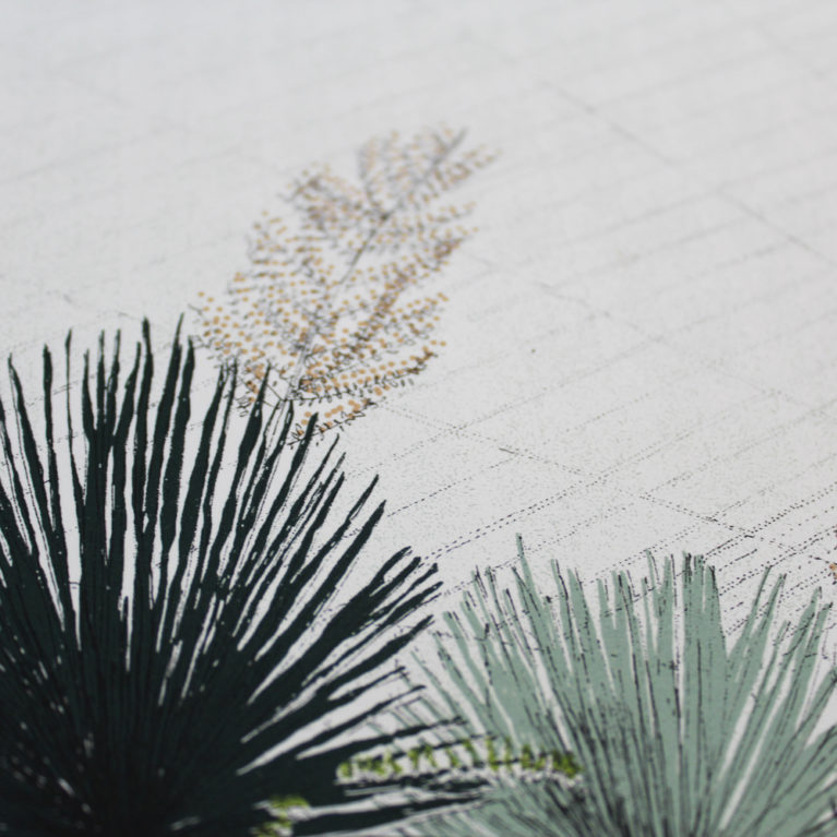 Hot Mess Of Cacti Clare Halifax Print Club London Screen Print