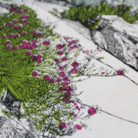 Hot Mess Of Cacti Clare Halifax Print Club London Screen Print