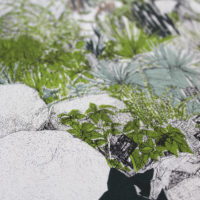 Hot Mess Of Cacti Clare Halifax Print Club London Screen Print