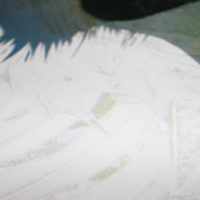 Monkey Lucille Clerc Print Club London Screen Print