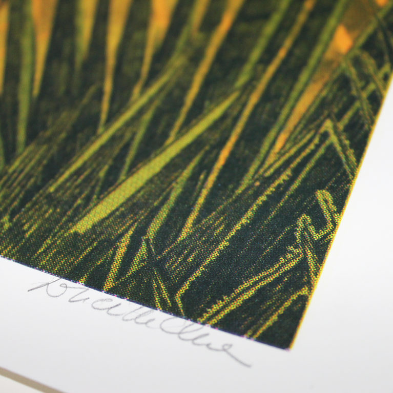 Shere Khan Lucille Clerc Print Club London Screen Print